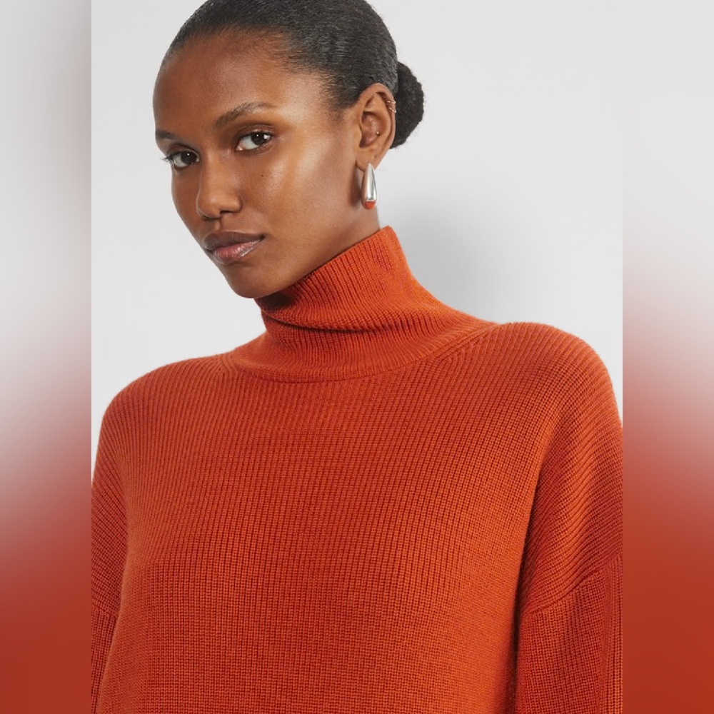 NWT Aritzia Maclean Merino Wool Dress Oversized Turtleneck Sweater sz Small Red - Picture 2 of 9